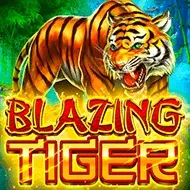 Blazing Tiger Blazing Tiger